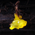 Dacrymyces palmatus 'Orange Jelly Cap'